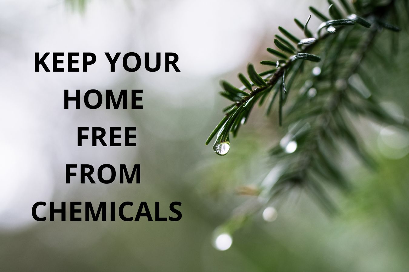 Keep Your Home Free From Chemicals - DRA Home